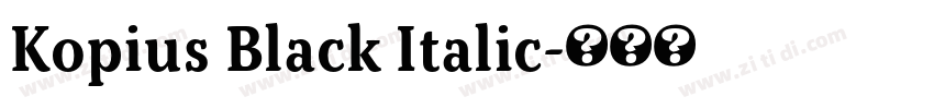 Kopius Black Italic字体转换